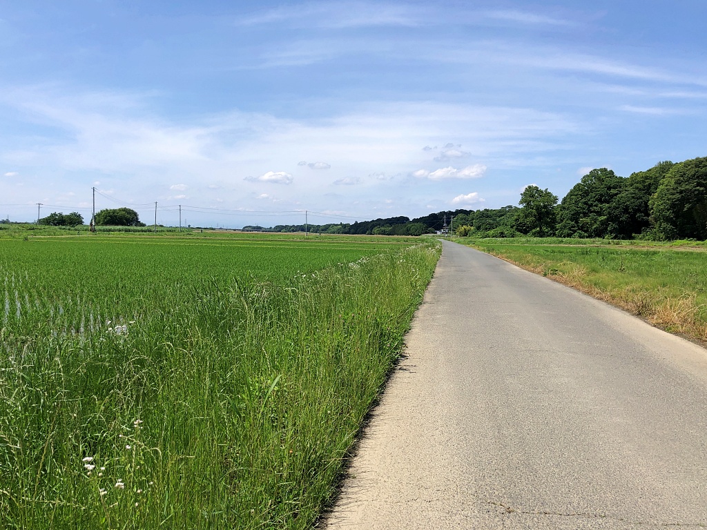 f:id:miwa3k:20210607154524j:plain