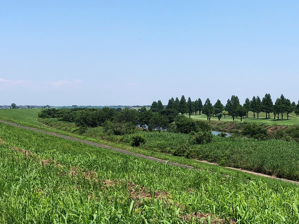 f:id:miwa3k:20210611181454j:plain
