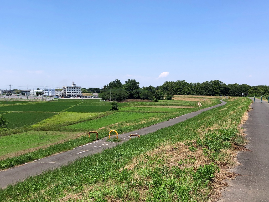 f:id:miwa3k:20210611181711j:plain