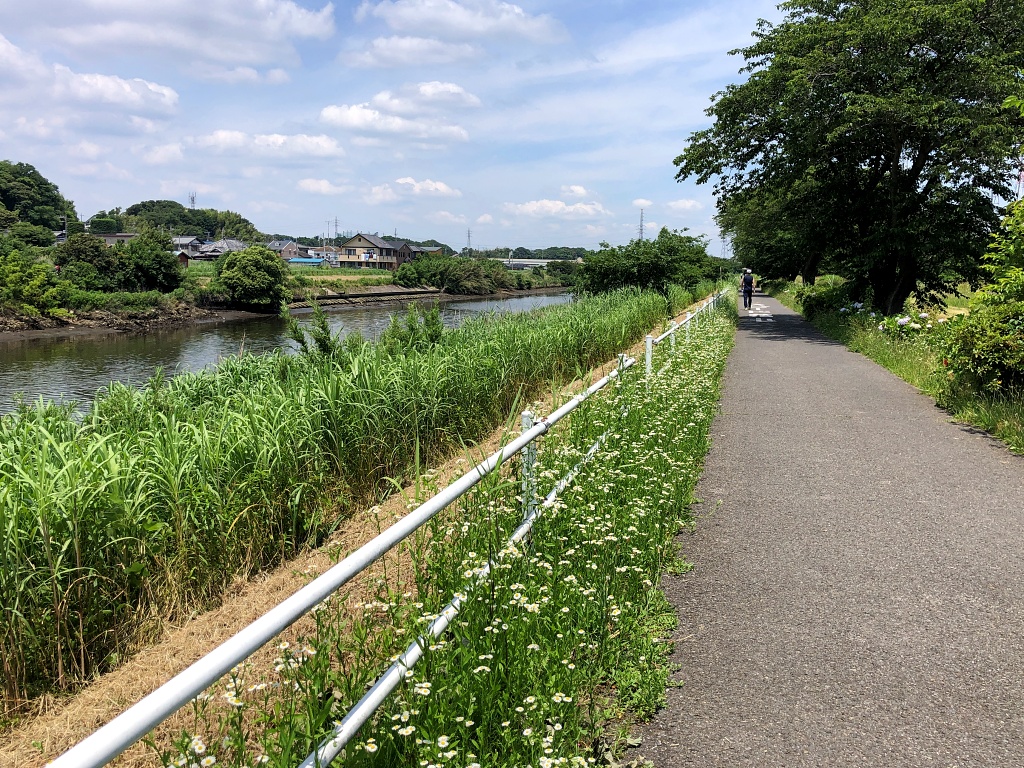 f:id:miwa3k:20210618181012j:plain