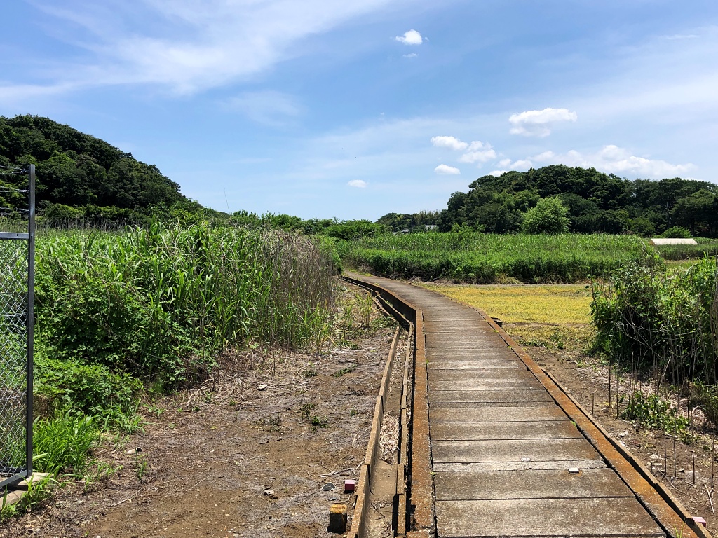f:id:miwa3k:20210618181101j:plain