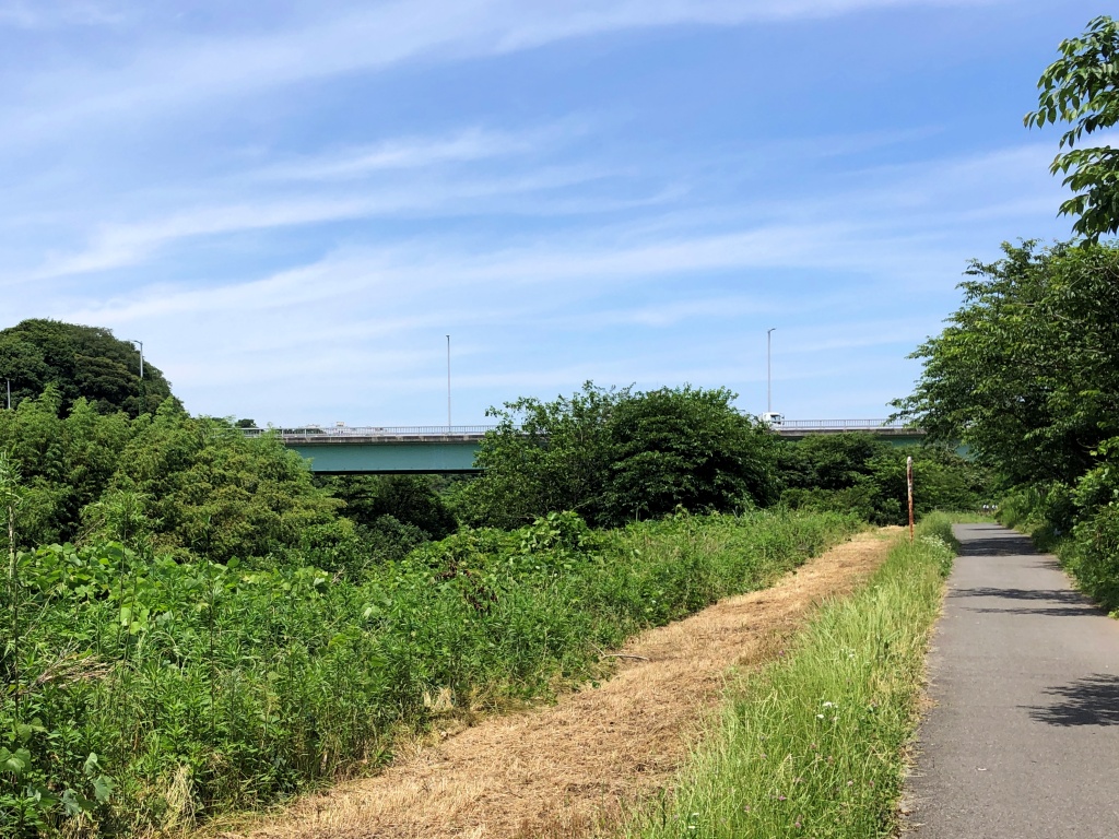 f:id:miwa3k:20210618181122j:plain