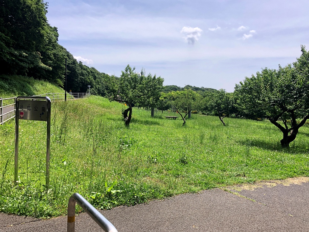f:id:miwa3k:20210621135424j:plain