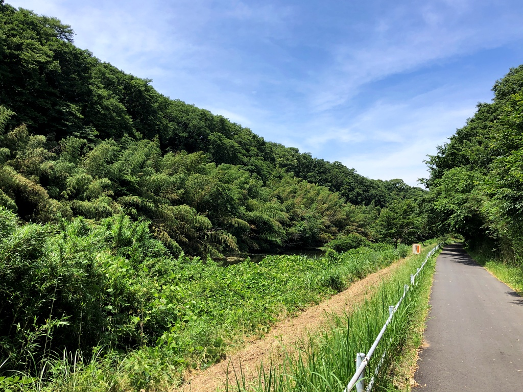f:id:miwa3k:20210621135545j:plain
