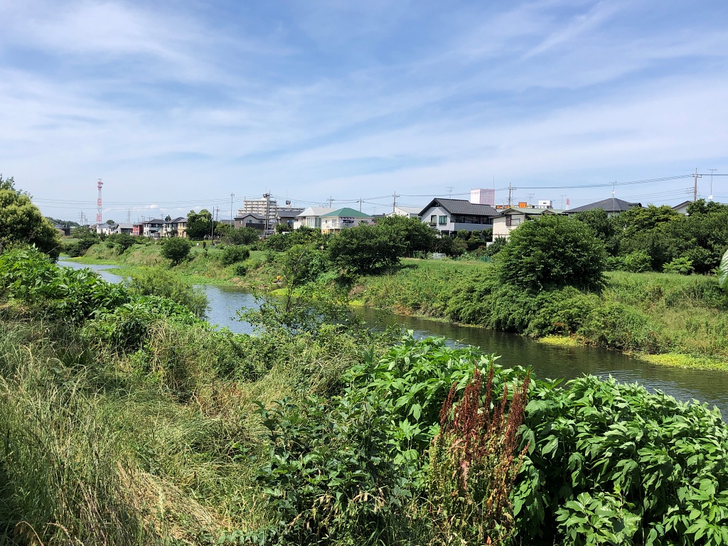 f:id:miwa3k:20210621135708j:plain