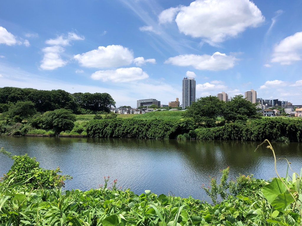 f:id:miwa3k:20210624112344j:plain