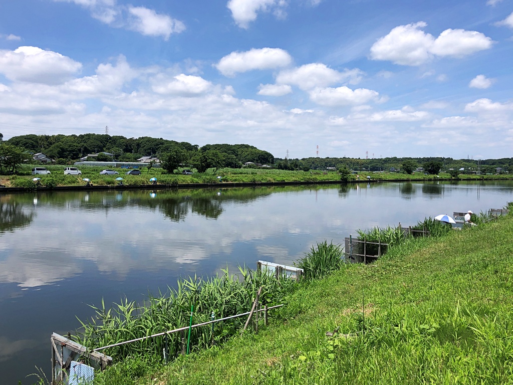 f:id:miwa3k:20210624112457j:plain