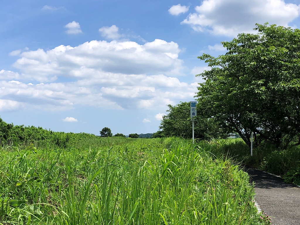 f:id:miwa3k:20210624112801j:plain