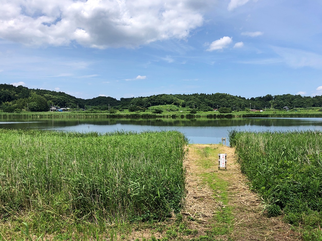 f:id:miwa3k:20210624112820j:plain
