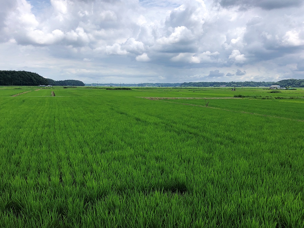 f:id:miwa3k:20210628180311j:plain