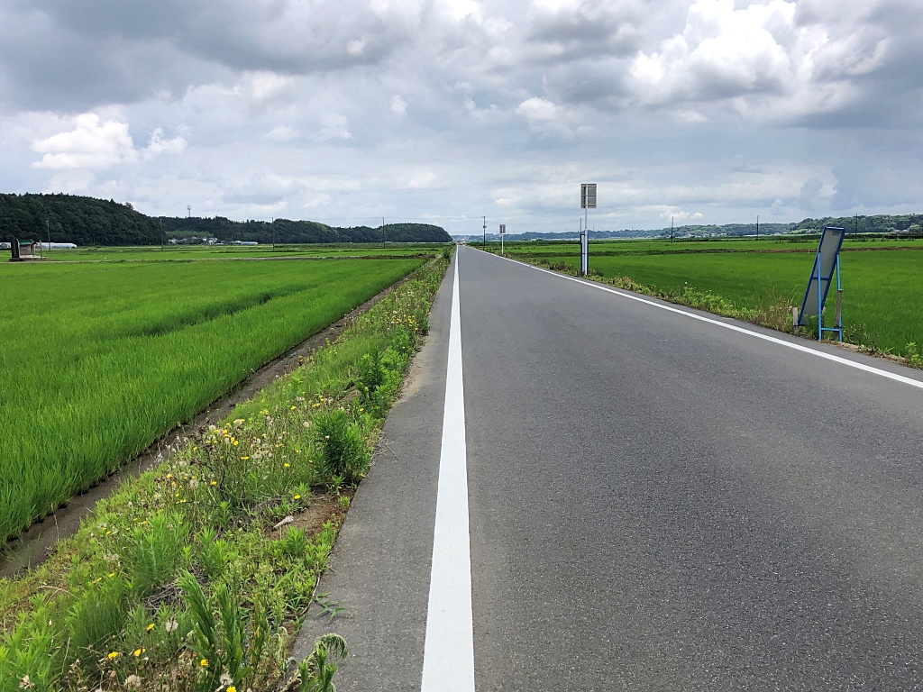 f:id:miwa3k:20210628180322j:plain