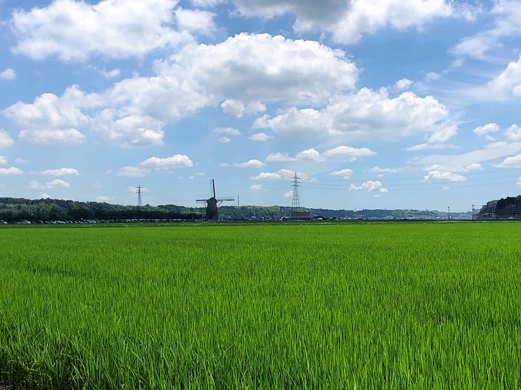 f:id:miwa3k:20210723163526j:plain