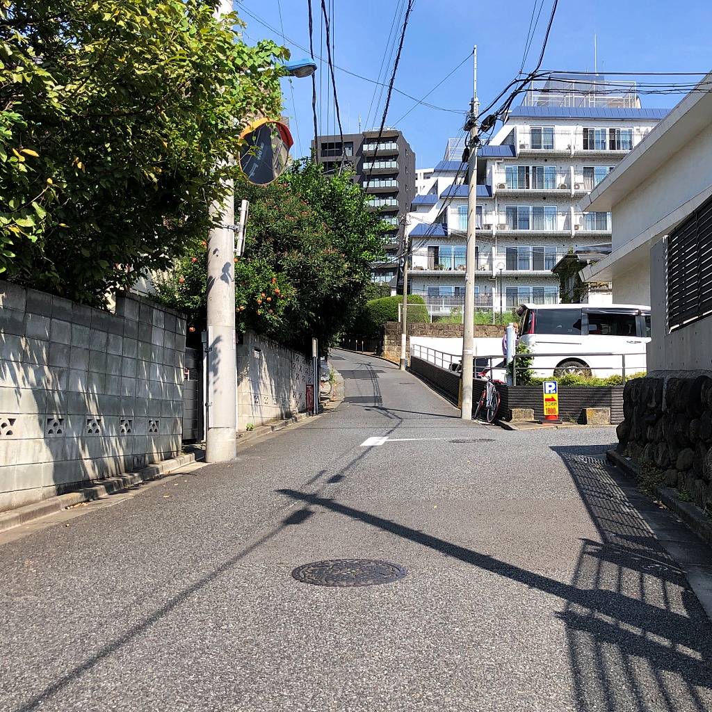 f:id:miwa3k:20211006134759j:plain