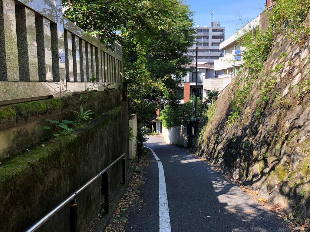 f:id:miwa3k:20211009112032j:plain