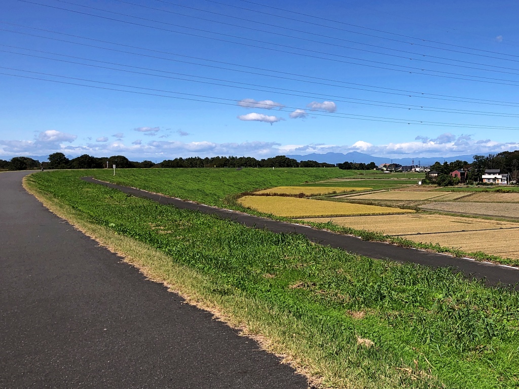 f:id:miwa3k:20211027114322j:plain