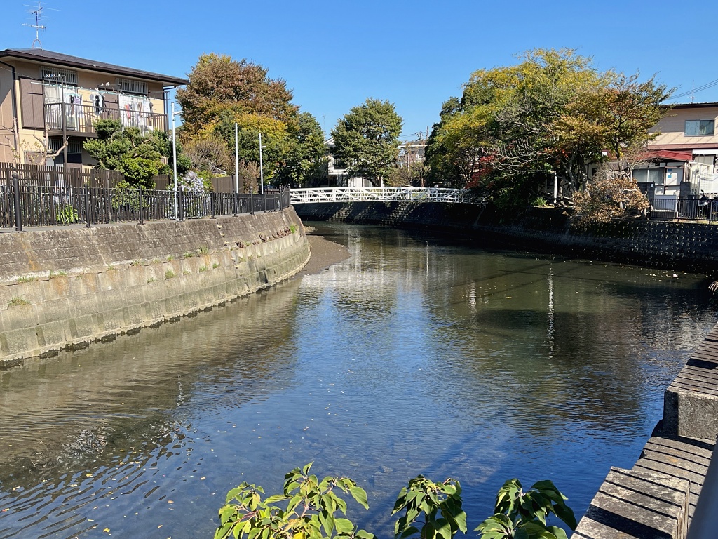 f:id:miwa3k:20211113145746j:plain