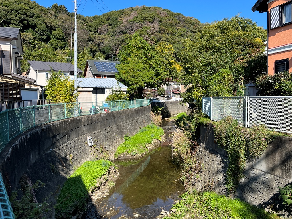 f:id:miwa3k:20211113145926j:plain
