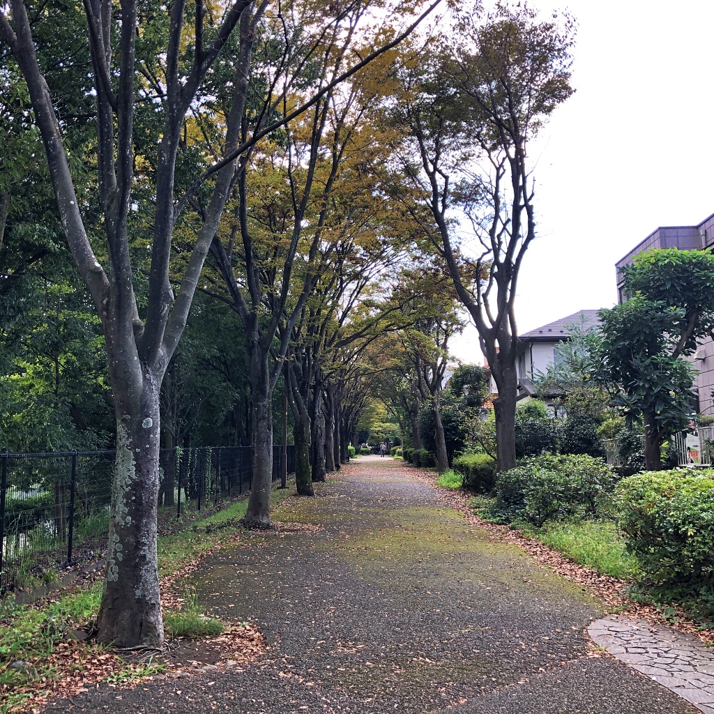 f:id:miwa3k:20211123125359j:plain