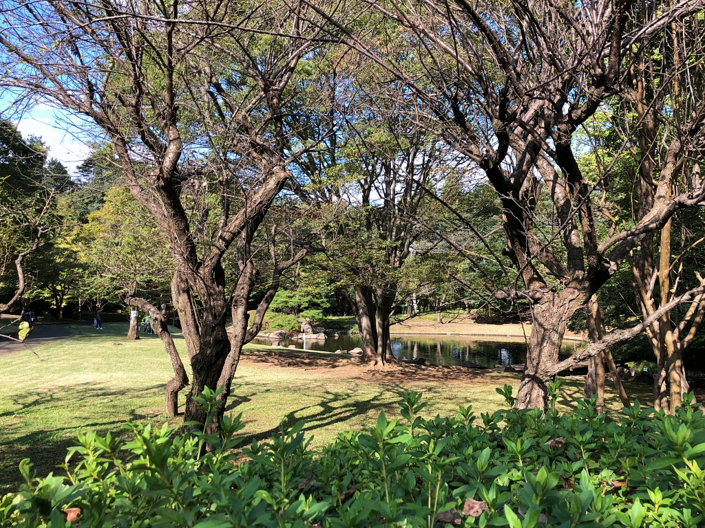 f:id:miwa3k:20211123125535j:plain