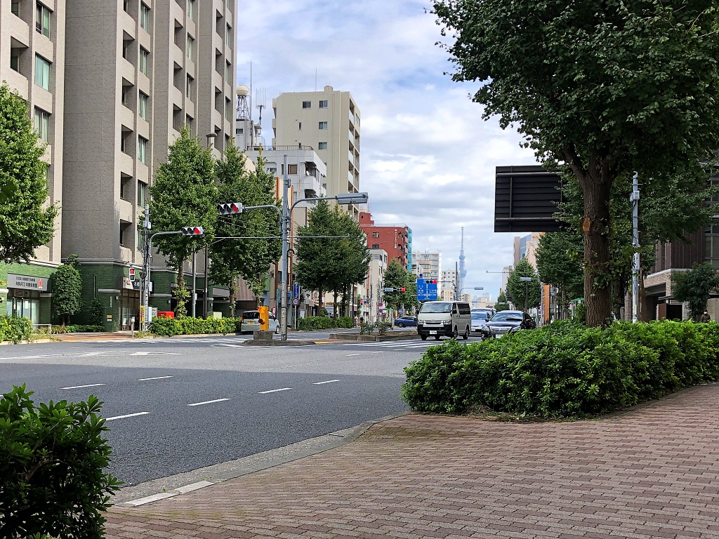 f:id:miwa3k:20211202113451j:plain