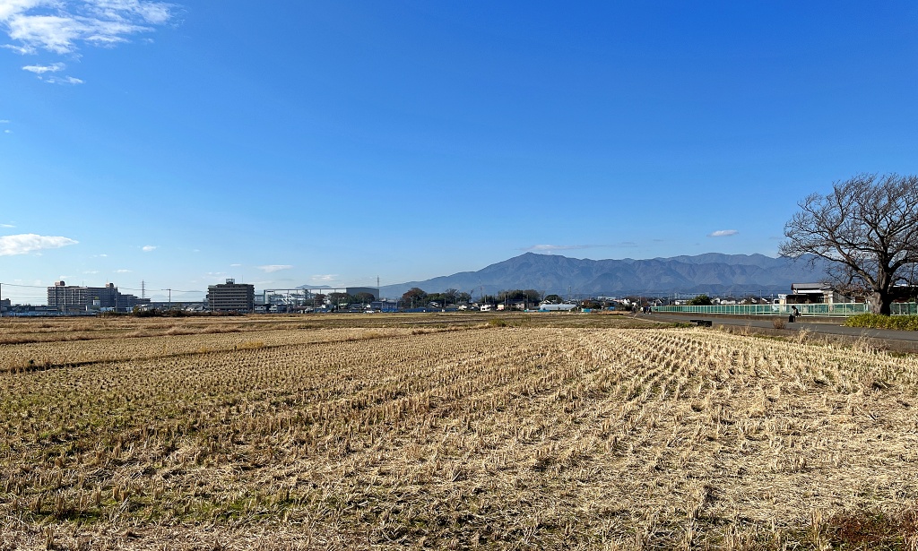 f:id:miwa3k:20211206124818j:plain