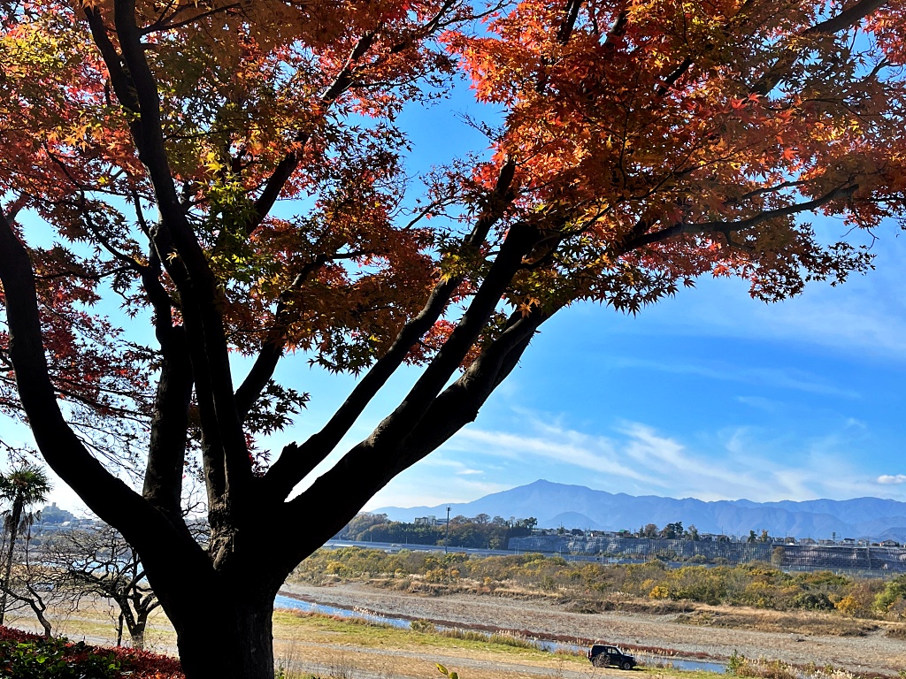f:id:miwa3k:20211206124858j:plain