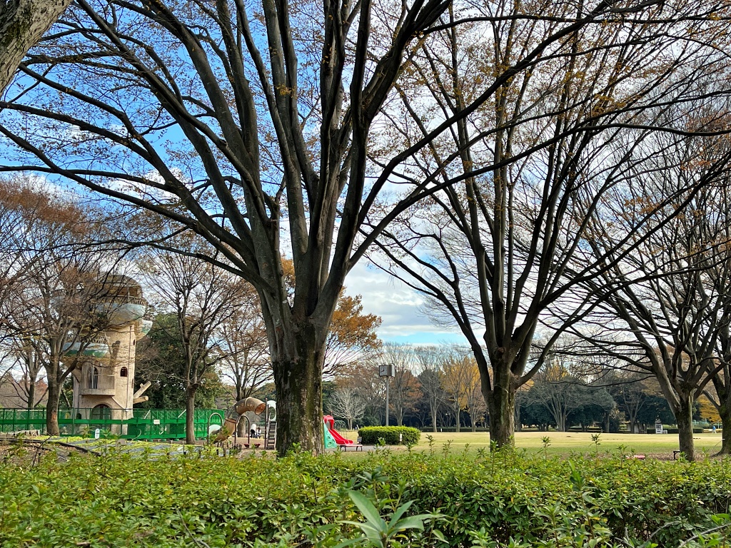f:id:miwa3k:20211206124958j:plain
