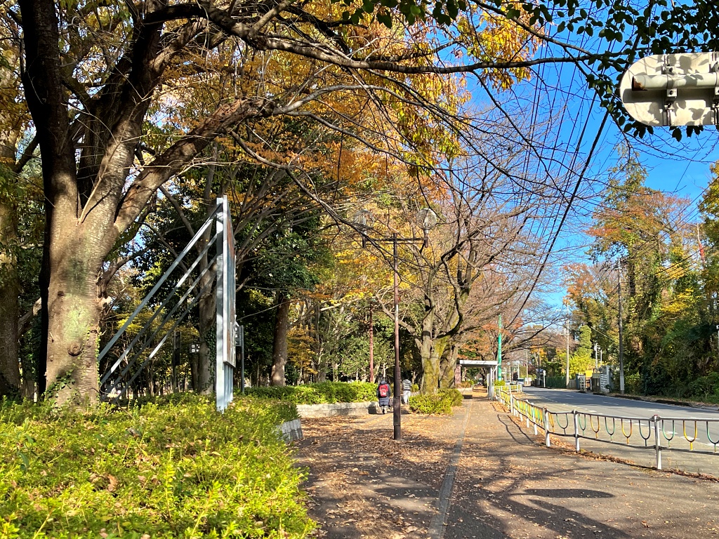 f:id:miwa3k:20211206125212j:plain