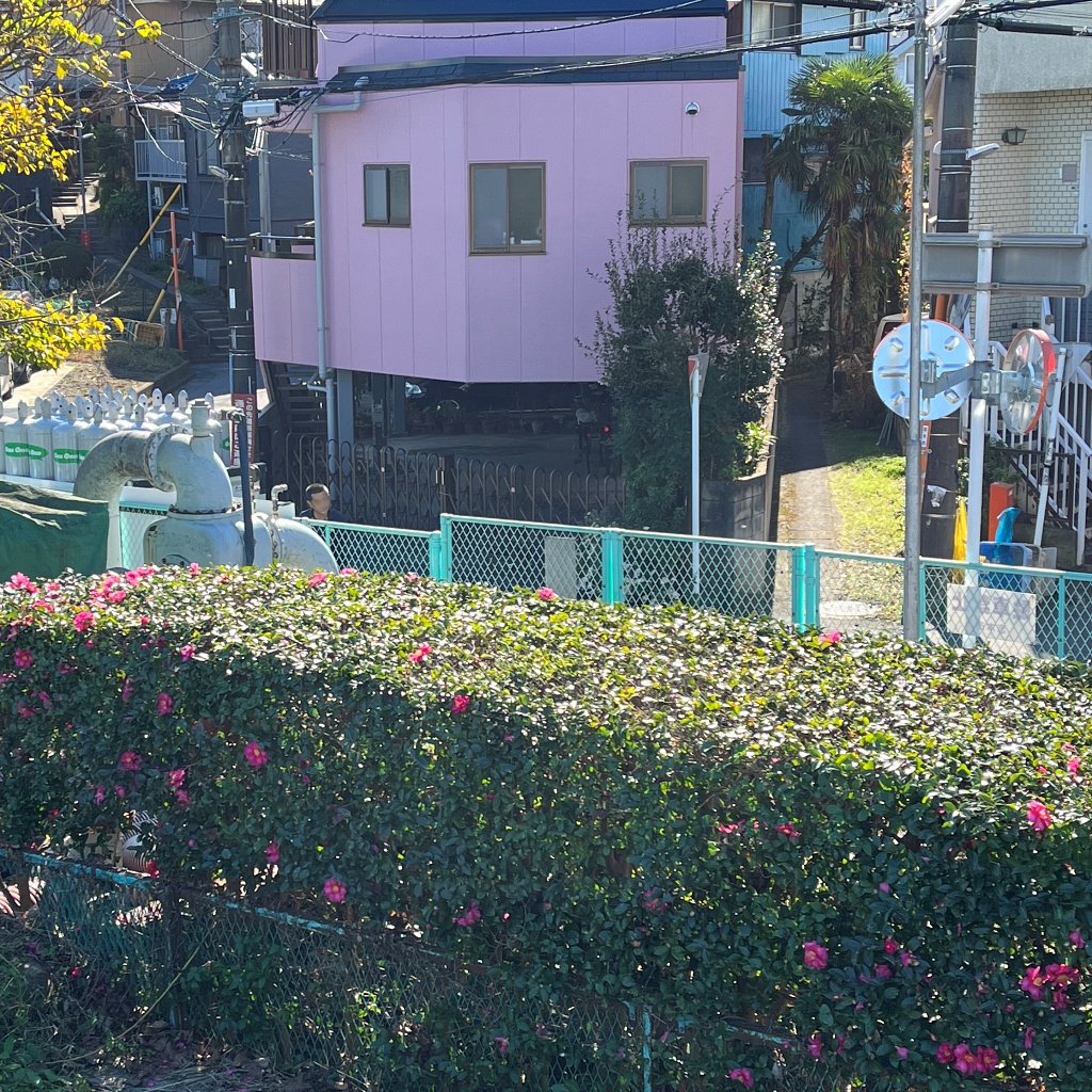 f:id:miwa3k:20211209115345j:plain