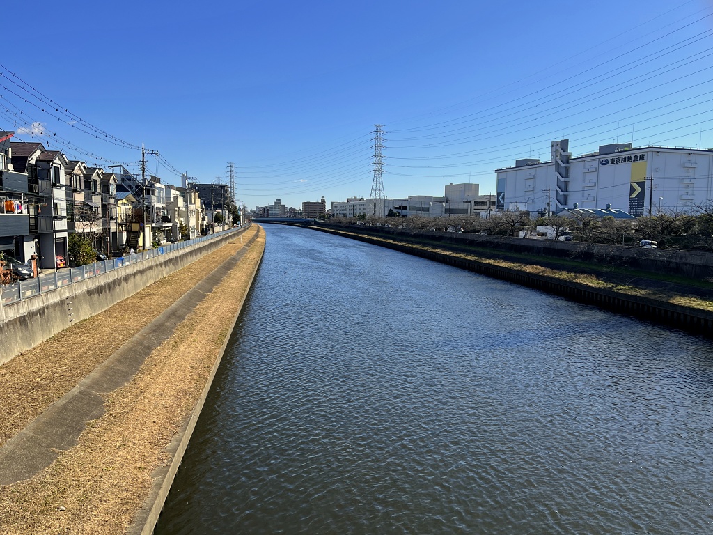 f:id:miwa3k:20220109173639j:plain