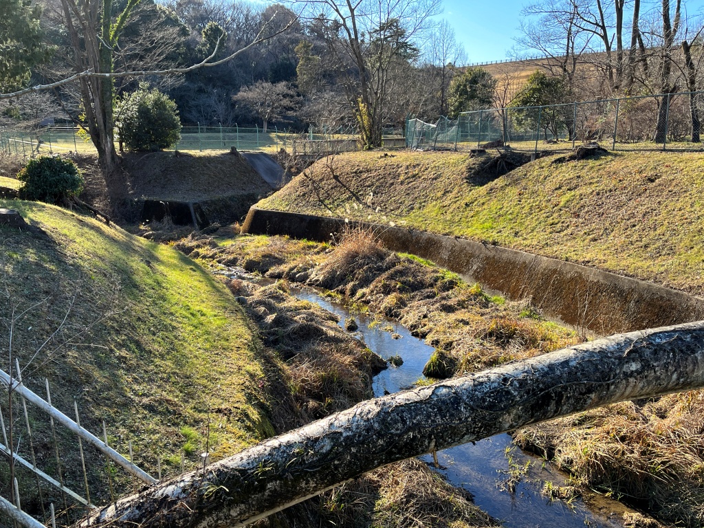 川の流れる柳の町　F6 W41センチ×H32センチ 柳瀬川 - Wikipedia