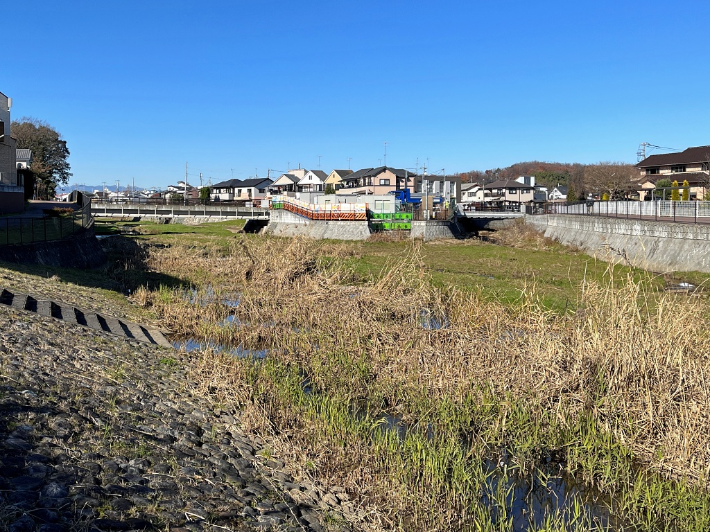 f:id:miwa3k:20220120190039j:plain