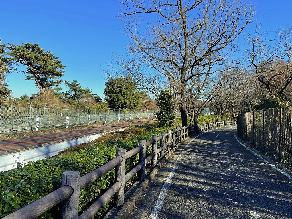 f:id:miwa3k:20220125160936j:plain