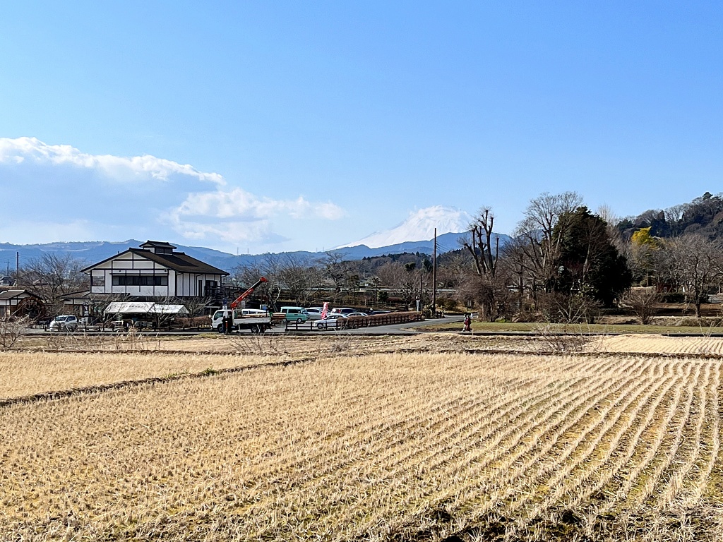 f:id:miwa3k:20220213155446j:plain