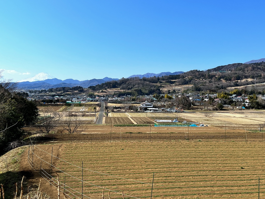 f:id:miwa3k:20220213155457j:plain
