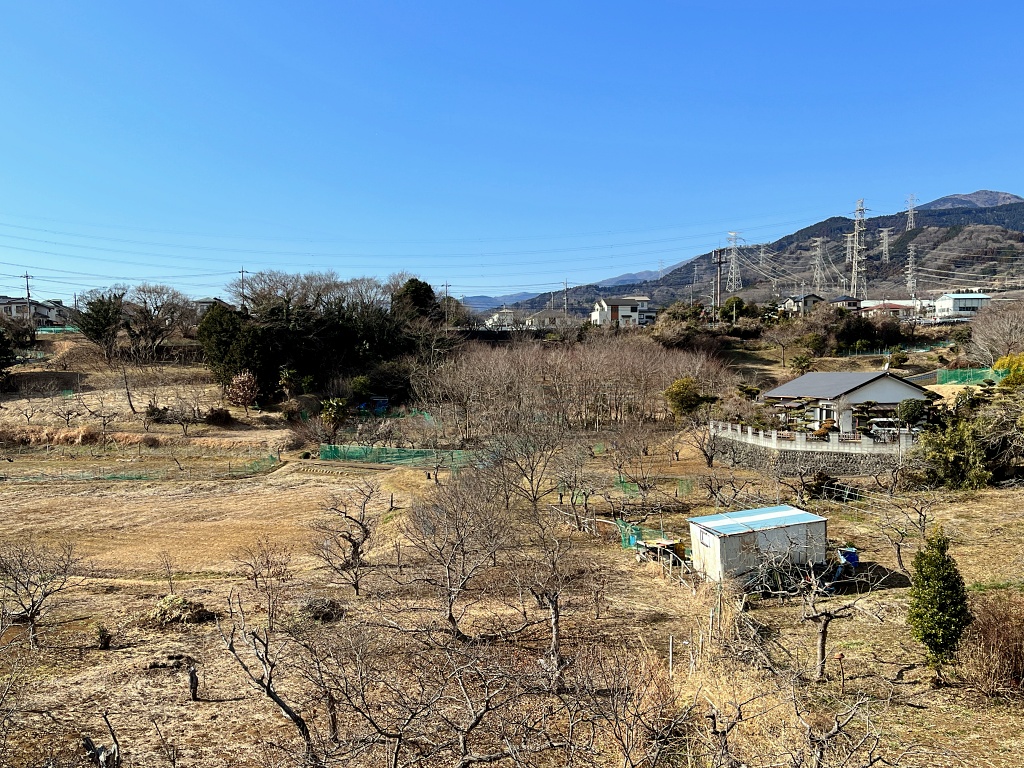 f:id:miwa3k:20220213155521j:plain