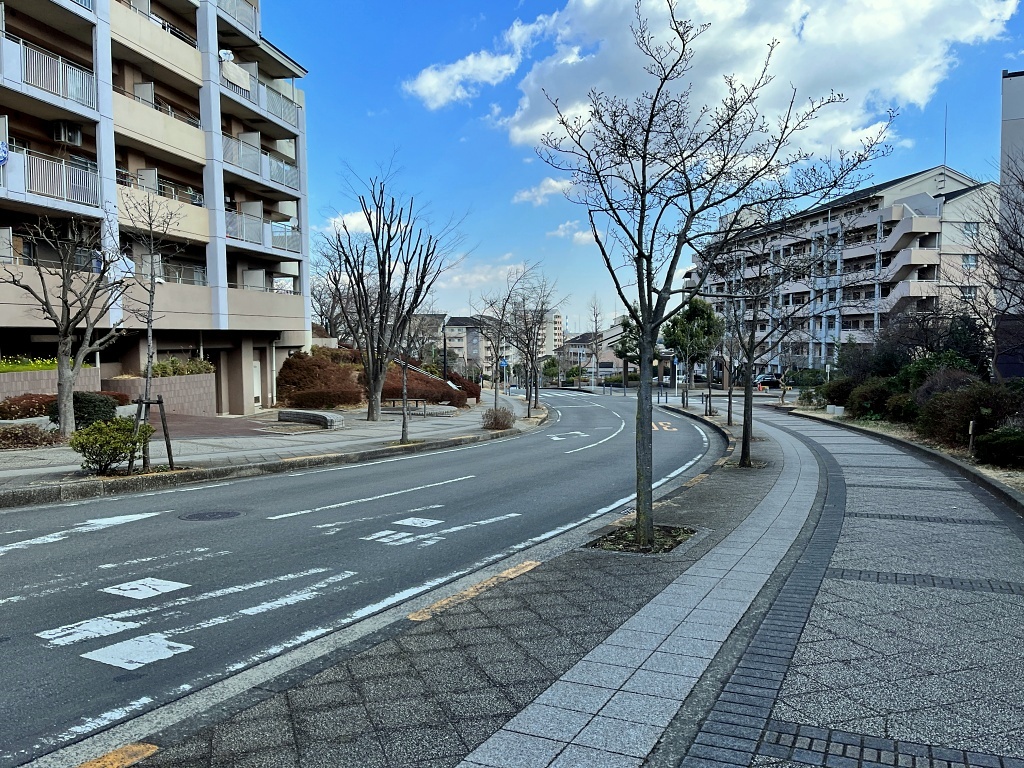 f:id:miwa3k:20220308200626j:plain