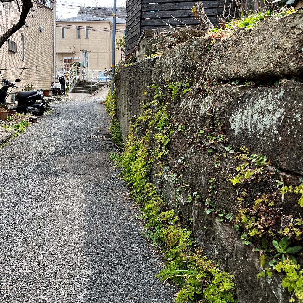 f:id:miwa3k:20220315155248j:plain
