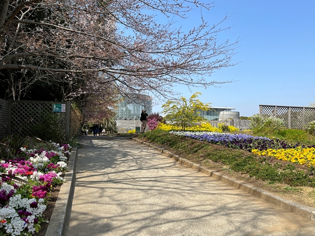 f:id:miwa3k:20220401171112j:plain