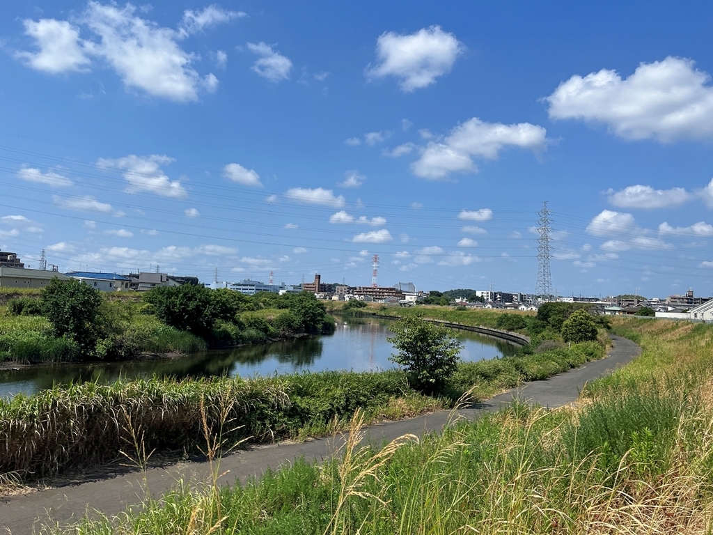 早淵川鶴見川新横浜公園とめぐり歩く - 散歩の途中