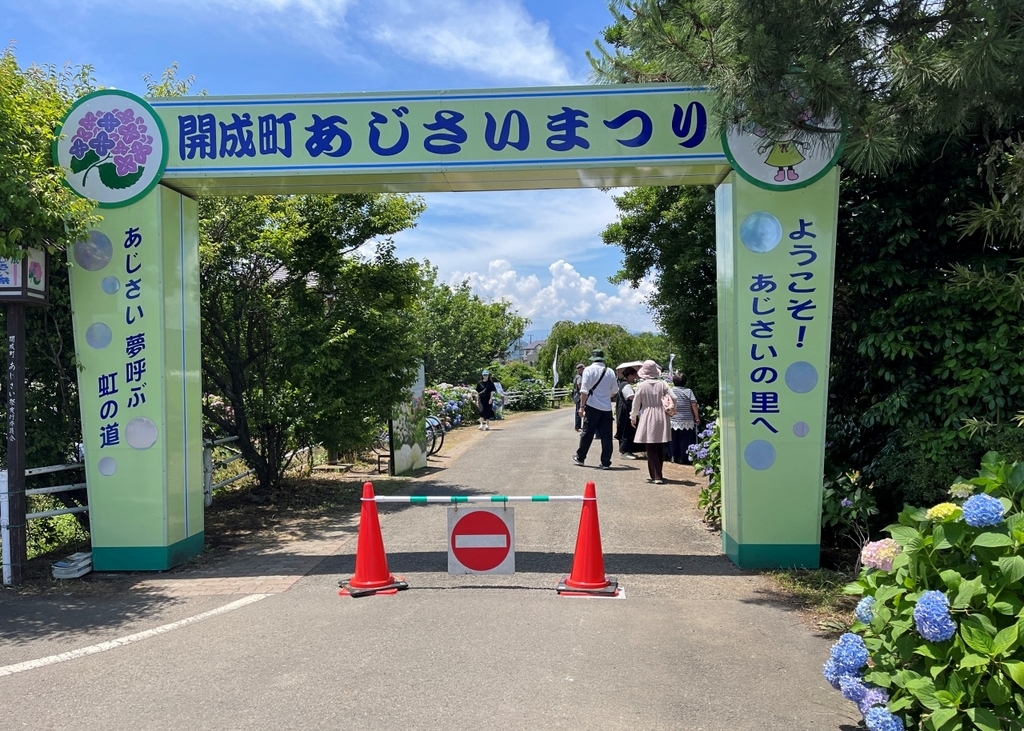 あじさいまつり中の「開成あじさいの里」を歩きまわってきました