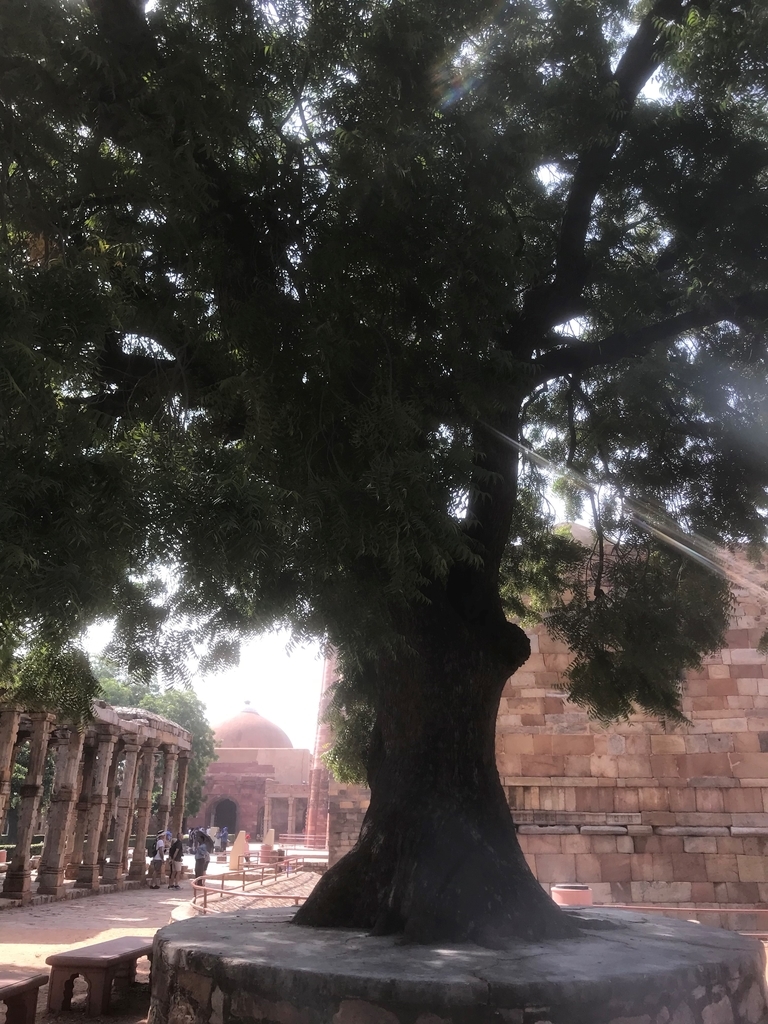 f:id:miwab:20180920094658j:plain f:id:miwab:20180920094658j:plain