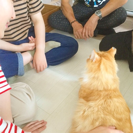 f:id:miwachann7777:20190507065009j:image f:id:miwachann7777:20190507065009j:image