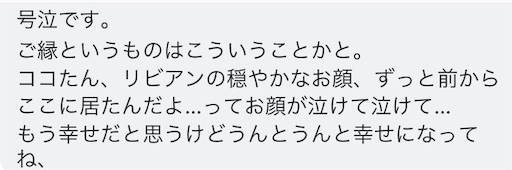 f:id:miwachann7777:20190510090307j:image f:id:miwachann7777:20190510090307j:image