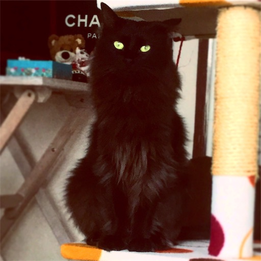 f:id:miwachann7777:20190510110807j:image f:id:miwachann7777:20190510110807j:image