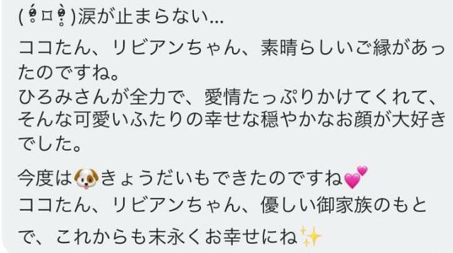 f:id:miwachann7777:20190510213348j:image f:id:miwachann7777:20190510213348j:image