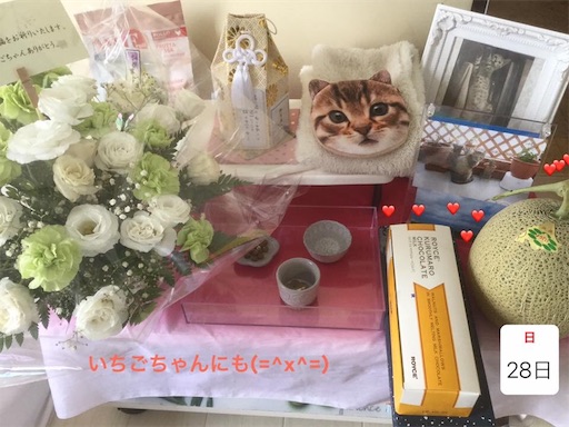 f:id:miwachann7777:20190731131356j:image f:id:miwachann7777:20190731131356j:image