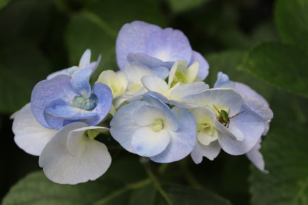 f:id:miwakaikei:20140623154117j:image:w640