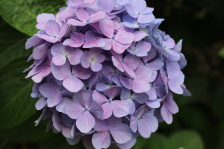 f:id:miwakaikei:20140623154147j:image:w640