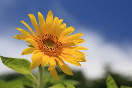 f:id:miwakaikei:20140807132815j:image:w640